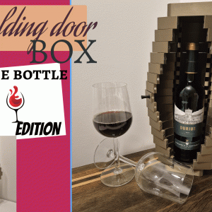Folding Door Wine Box